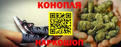 шишки Краснодар