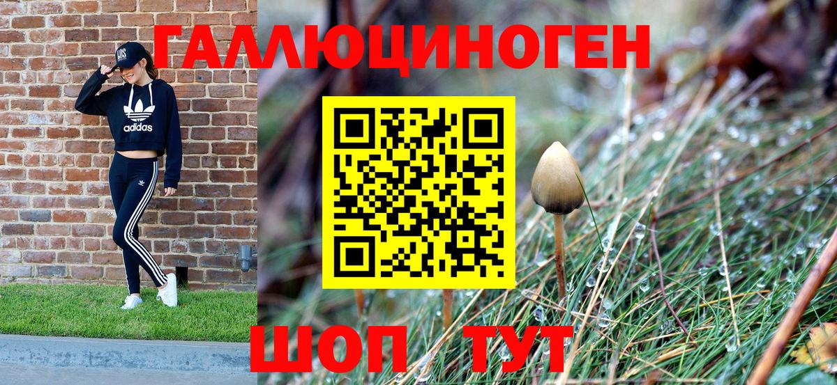 Псилоцибиновые грибы ЛСД  Вход с VPN  Кохма  Галлюциногенные грибы MAGIC MUSHROOMS 